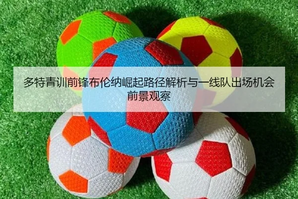 多特青训前锋布伦纳崛起路径解析与一线队出场机会前景观察