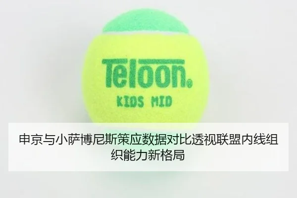 申京与小萨博尼斯策应数据对比透视联盟内线组织能力新格局